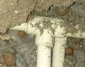 巴马测漏水多少钱