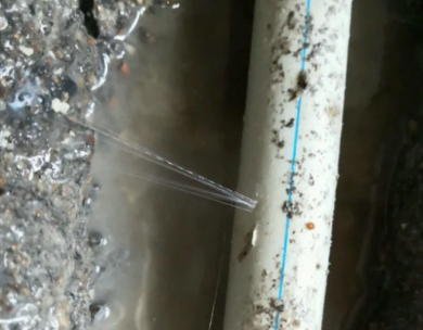 巴马测漏水哪家好