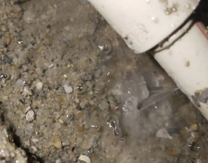 巴马测漏水电话号码