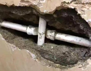 巴马测漏水哪家好