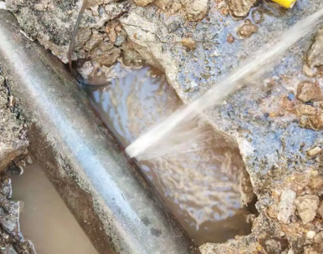 巴马测漏水公司